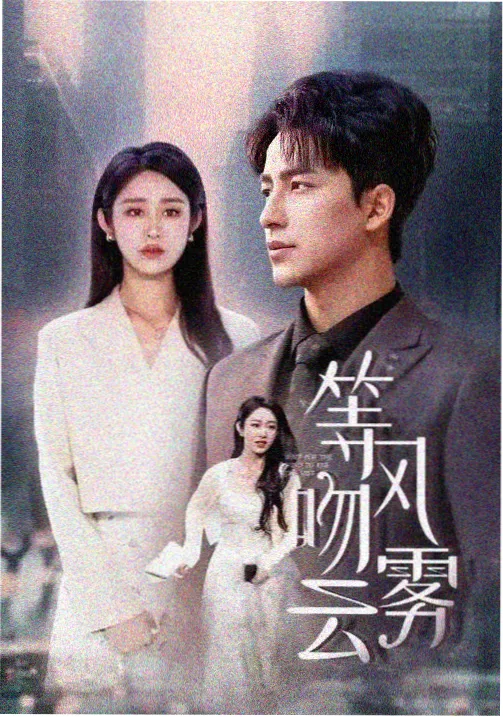 番茄视频悬疑剧集长夜回声封面
